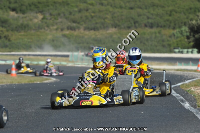 DSC (3951).JPG